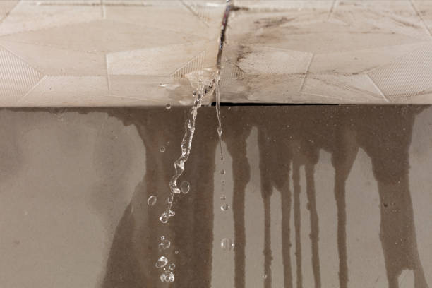Professional Flood Damage Cleanup technician working in Stockbridge, WI